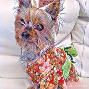リロピピの画像