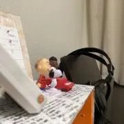 クルミ（7.30から海外に行く)の画像