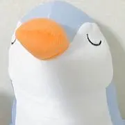 maximus