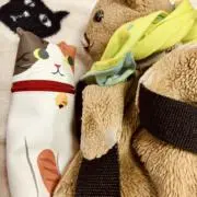 みゃるの画像