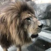 みっちー　配送ガチャに悩み中の画像