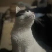 ぱんどぅ ＊プロフ必読＊の画像