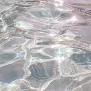 Yaakoの画像