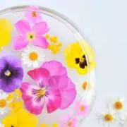 アリス ※プロフィール必読※の画像