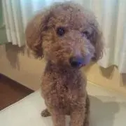 エイト
