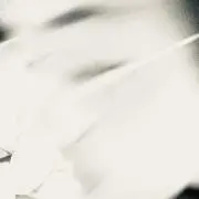 わらびもちの画像