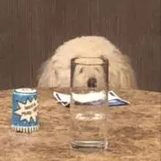 Uの画像