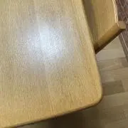 マッシュルームの画像