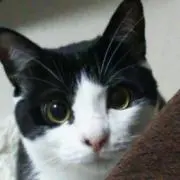 てぃみーーー