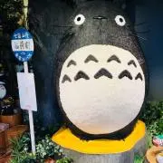 ととろの画像