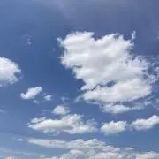 たかの画像