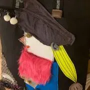 ぽんの画像