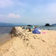 わんわん