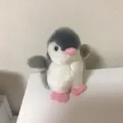 あんの画像