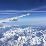 kokoの画像