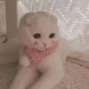 neko