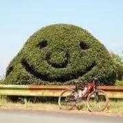 k_cᐠ( ᐢ ᵕ ᐢ )ᐟh2_mの画像