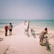 ちゃるの画像