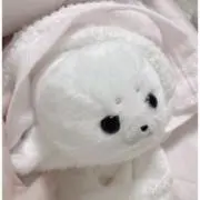 moの画像