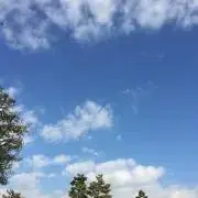 キティー☆