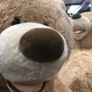Aの画像