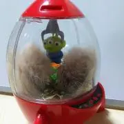 akiの画像