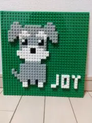 JOYの画像