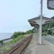 星の子の画像