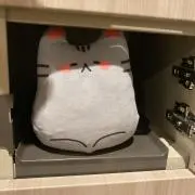 なゆ≪基本無言取引≫の画像
