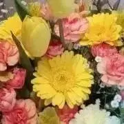 たんかん