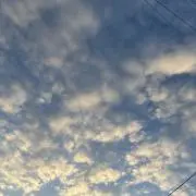 こびたろうの画像