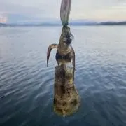 yuuuu