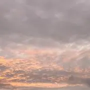 めぐの画像