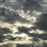 さぶろうの画像