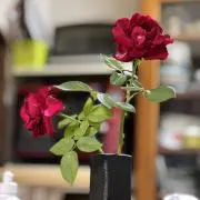 Rose【匿名24時間発送】の画像