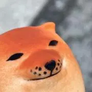 かいわれ大根の画像