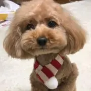 ルイまま✿の画像