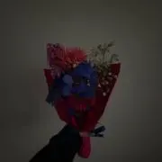 sakuの画像