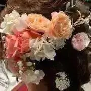 kumaの画像