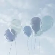 ヒナの画像