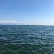 fogの画像
