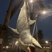 ツナマヨ
