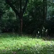 ともの画像