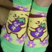めぇ( ・∇・)の画像