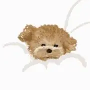 りんごの画像