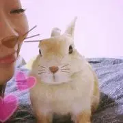 出張中のためコメント必須