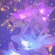 せんの画像