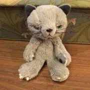 こたにゃんの画像
