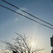 ゆき