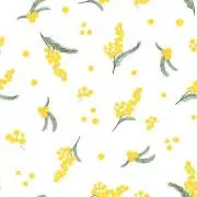 ばんこめ